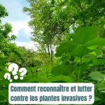 Kaypacha - Explorations du territoire lyonnais - The Greener Map