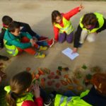 Maison de l'environnement - The Greener Guide