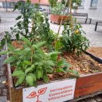 Incroyables Comestibles Villeurbanne - Promotion de l'agriculture en ville - The Greener Map